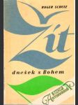 Žít dnešek s Bohem - náhled