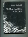 Cesta napříč městem - náhled