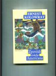 Zpovědi českého Američana - náhled