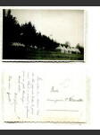 Prázdninový tábor 1. oddílu skautů Louny, Šumava (pohlednice) - náhled