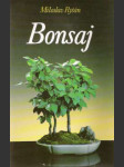 Bonsaj - náhled