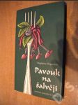 Pavouk na šalvěji - náhled