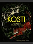 Kosti howard jules - náhled