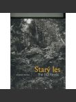Starý les. The old forest - náhled