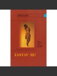 Zastav se! Tereza Zukić - náhled