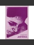 Ještěrka - náhled