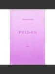 Příběh - náhled