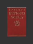 Kvetoucí nopály - náhled