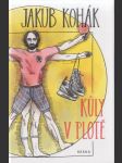 Kůly v Plotě - náhled