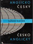 Anglicko-český, česko-anglický kapesní slovník - náhled