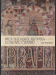 Praha - náhled