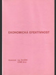 Ekonomická efektivnost - náhled