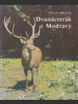 Dvanácterák z Modravy - náhled