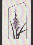 Údolí gladiol - náhled