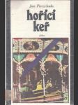 Hořící keř - náhled