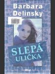 Slepá ulička - náhled
