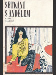 Setkání s andělem - náhled
