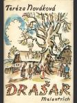 Drašar - román kněze buditele - náhled