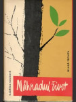 Náhradní život - náhled