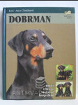 Dobrman - náhled
