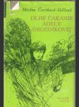 Dlhé čakanie Adely Drozdíkovej (malý formát) - náhled