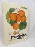 Pomologický atlas 1: Peckoviny, skořápkoviny, réva vinná, okrajové druhy - náhled