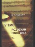 V tme rozoznám Pinocchia (malý fromát) - náhled