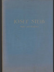 Josef Steib Maler und Radierer (veľký formát) - náhled
