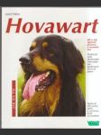 Hovawart - náhled