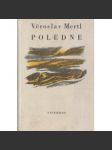 Poledne - náhled