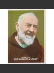 Páter Pius, muž bolesti a lásky - náhled