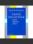 Papež František a jeho reforma církve - náhled