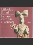 Indiáni, černoši a vousáči - náhled