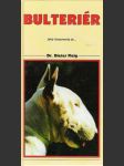 Bulteriér - náhled