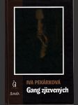 Gang zjizvených - náhled