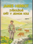 Zvěrolékař opět v jednom kole - náhled