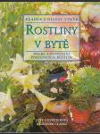 Rostliny v bytě - Volba a pěstování pokojových rostlin - náhled