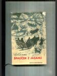 Špalíček z jasanu - Českomoravská vysočina - náhled