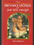 Průvodce léčitele aneb jak léčit energií - náhled
