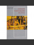 Záhada turínského plátna - náhled