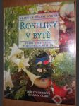 Rostliny v bytě - náhled