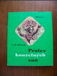 Prales kouzelných snů - náhled