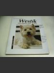 Westík. West highland white teriér - náhled
