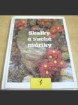 Skalky a suché múriky - náhled