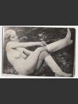 Fotografie - náhled