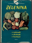 Zelenina v zahradě v obchodě v kuchyni - náhled