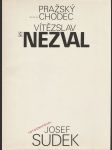 Pražský chodec - náhled