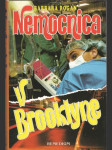 Nemocnica v Brooklyne - náhled