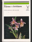 Žijeme s květinou - náhled