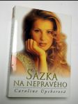 Sázka na nepravého - náhled